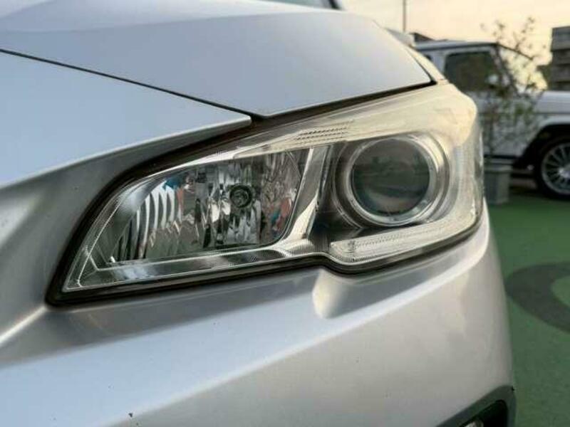 LEVORG-19