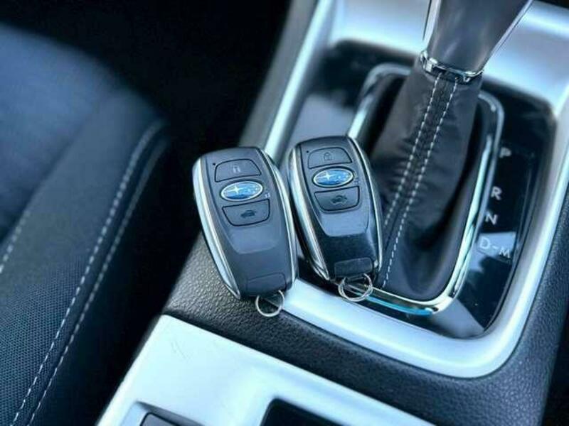 LEVORG-11