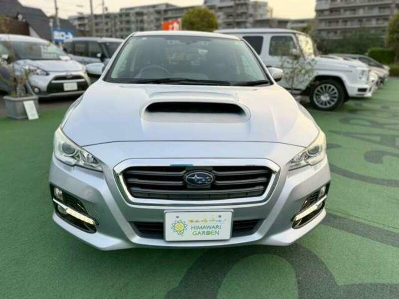 LEVORG-13