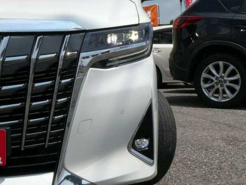 ALPHARD-11