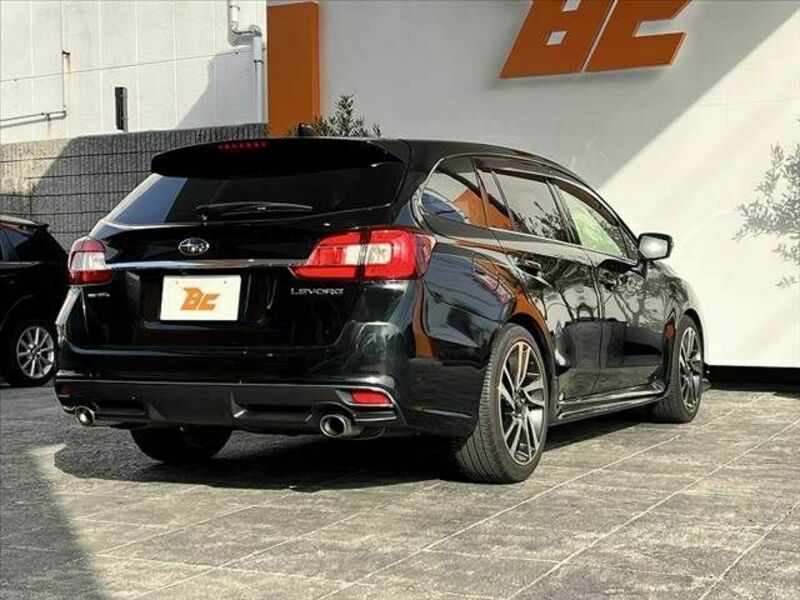 LEVORG