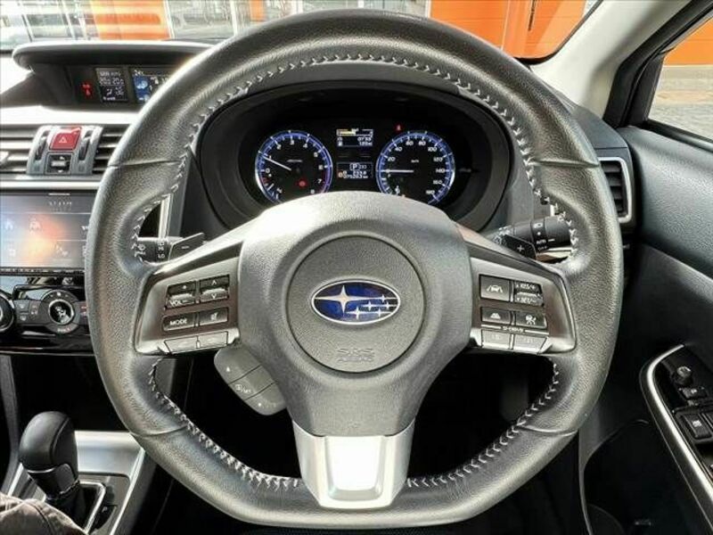 LEVORG