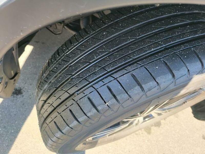 X-TRAIL-17