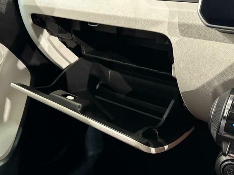 IGNIS-11