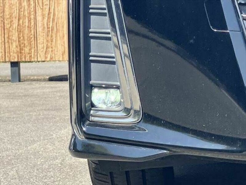 ALPHARD-13