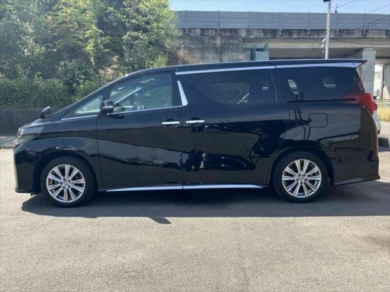 ALPHARD-21