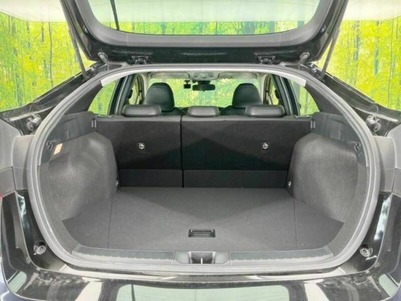 PRIUS-10