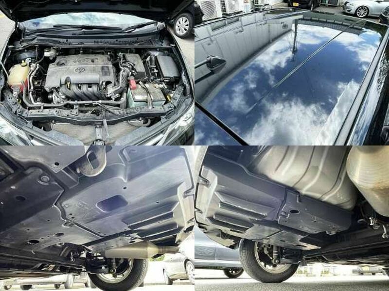 AURIS-4