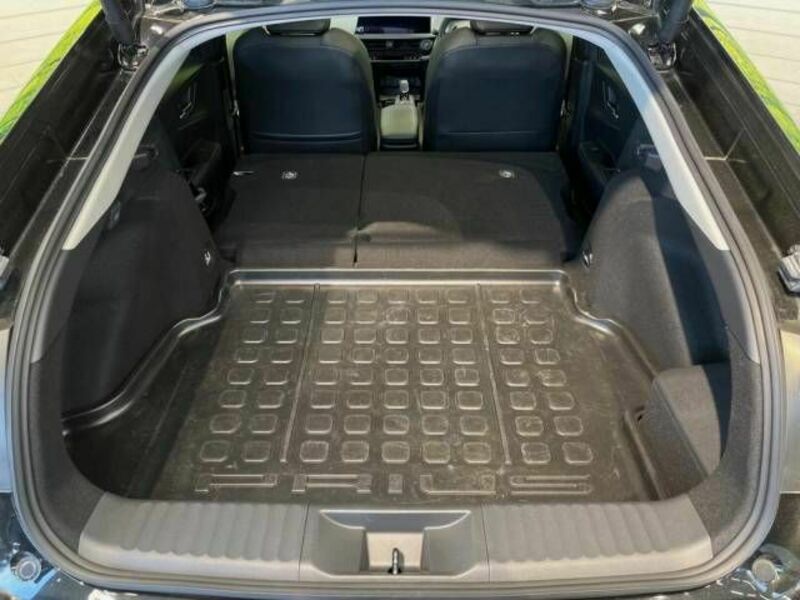 PRIUS-9