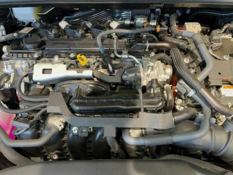 PRIUS-17