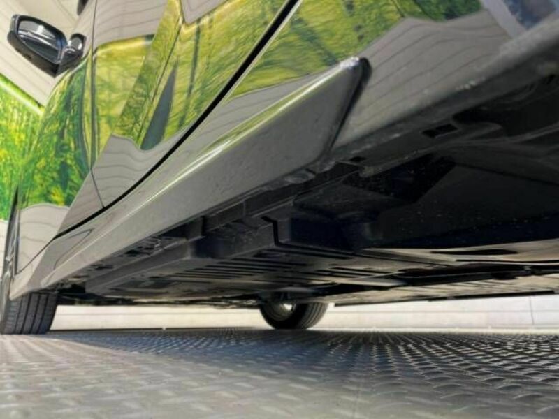 PRIUS-19