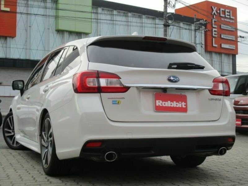 LEVORG-2