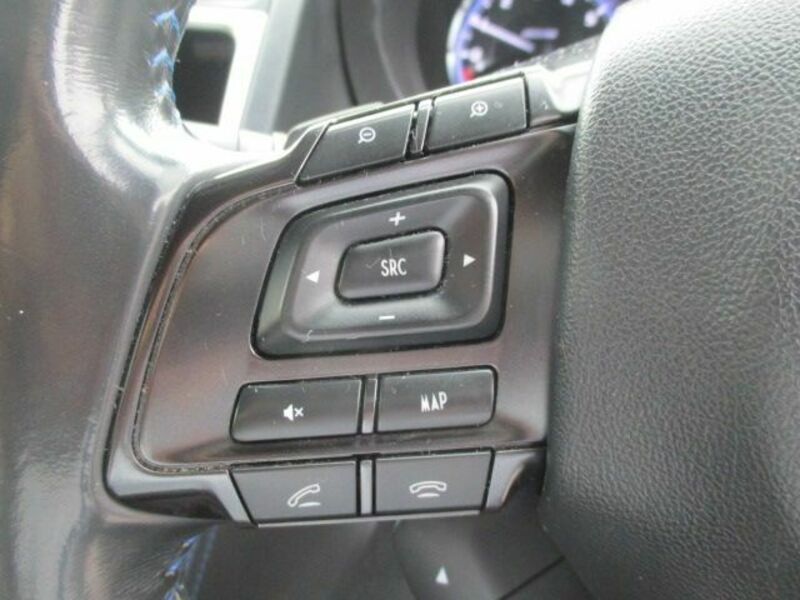 LEVORG-13