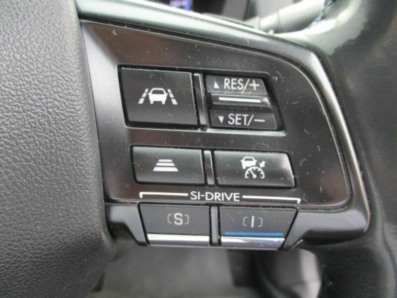 LEVORG-14