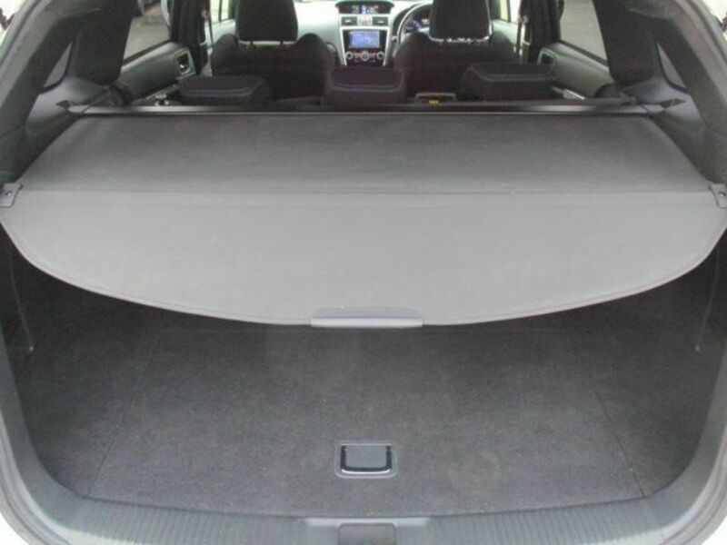 LEVORG-20
