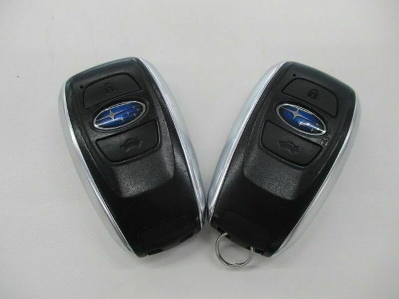 LEVORG-22