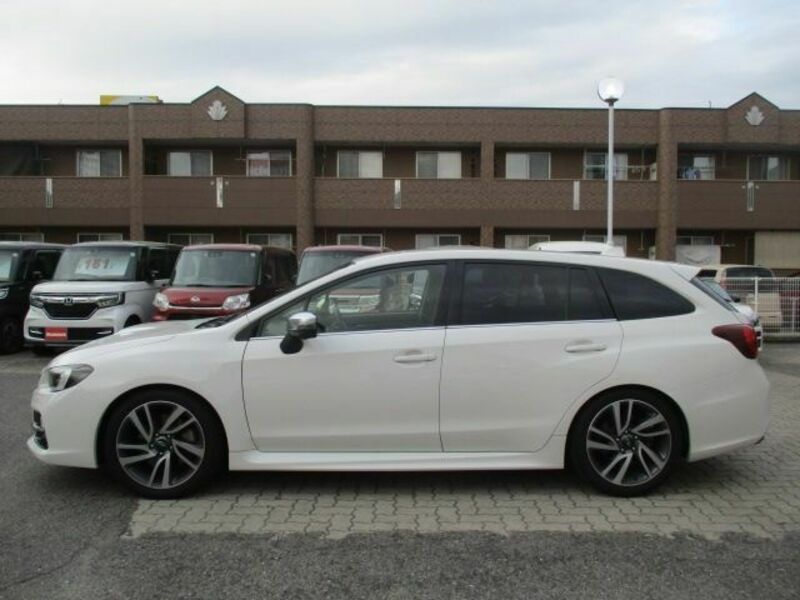 LEVORG-29