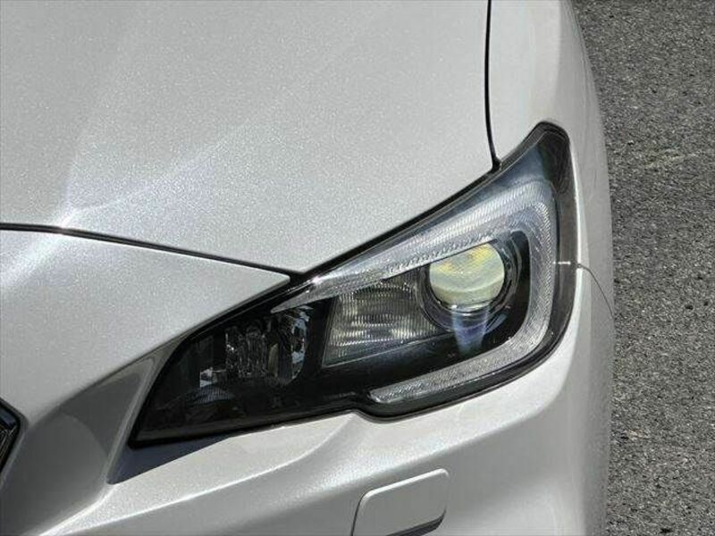 LEVORG-7