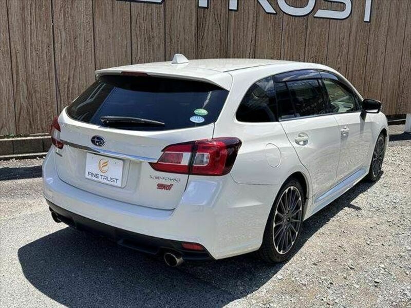 LEVORG-13