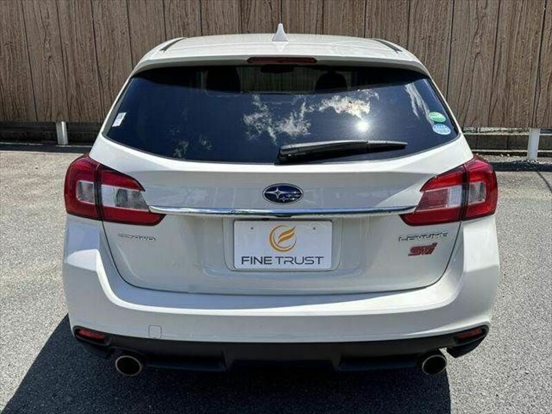 LEVORG-14