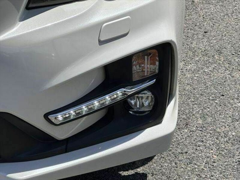 LEVORG-19