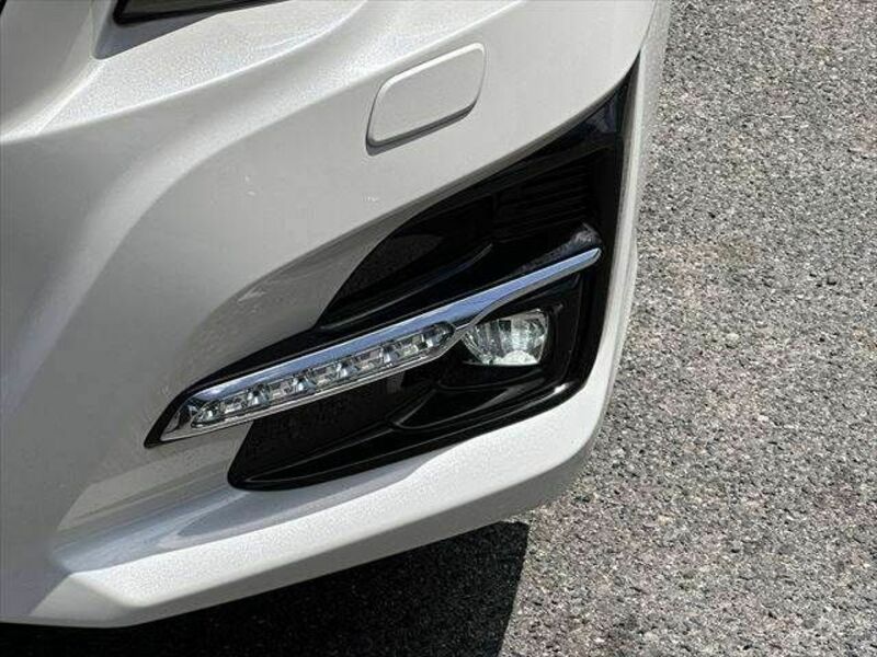 LEVORG-8
