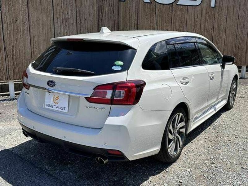 LEVORG-13