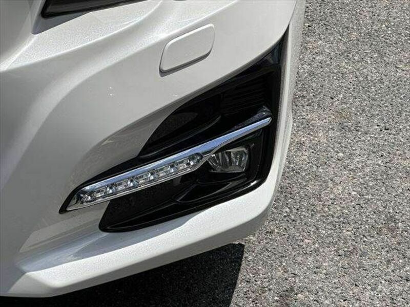 LEVORG-19