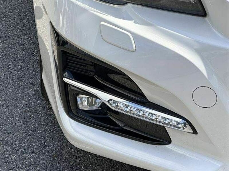 LEVORG-20