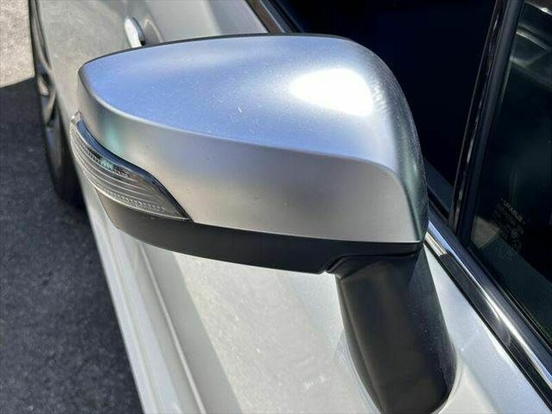 LEVORG-22