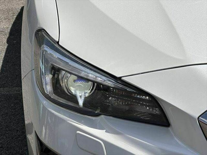 LEVORG-26