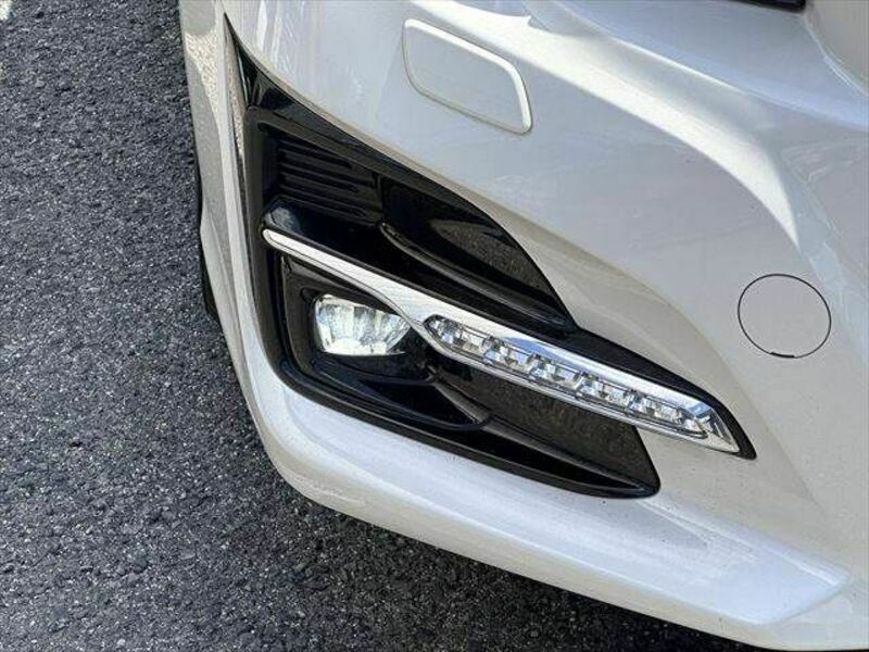 LEVORG-27