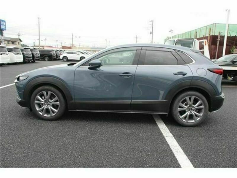 CX-30