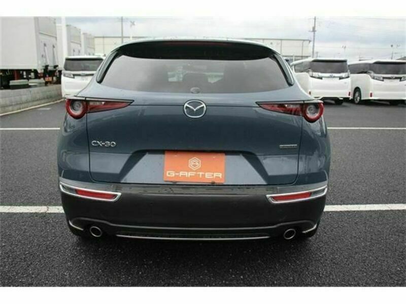 CX-30