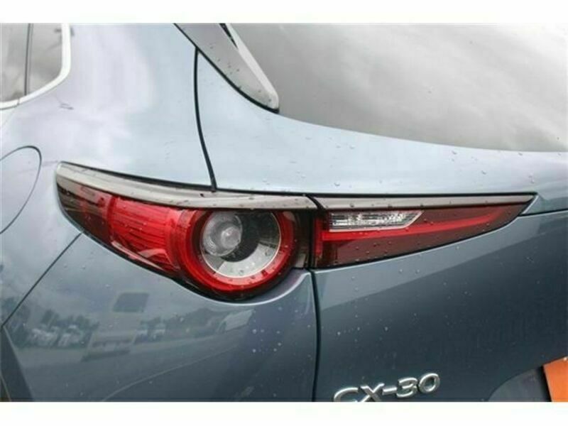 CX-30