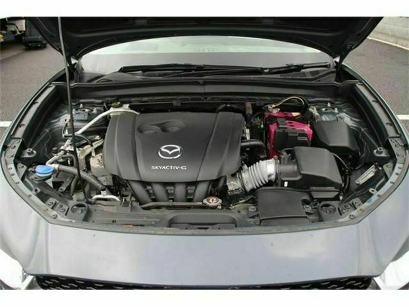 CX-30