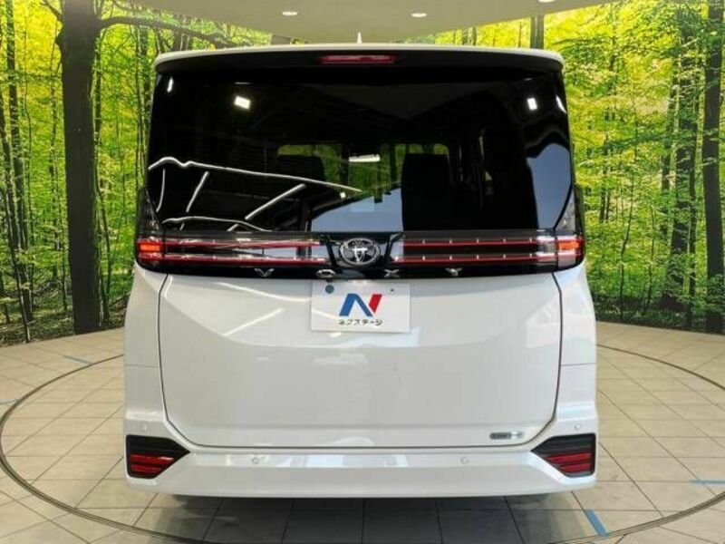 VOXY-17
