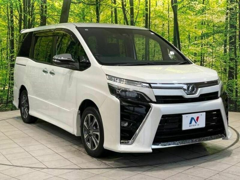 VOXY-16
