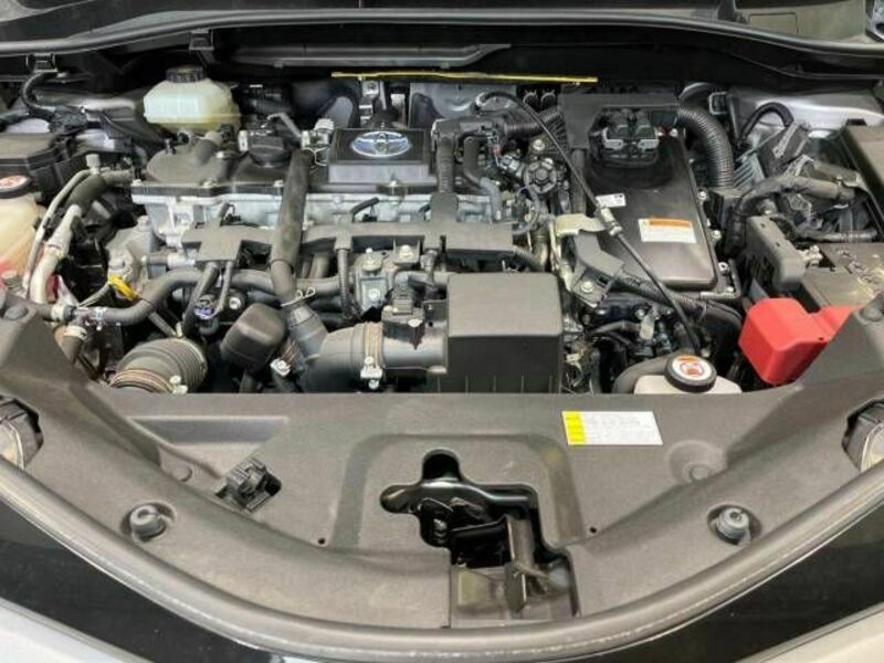 C-HR-17