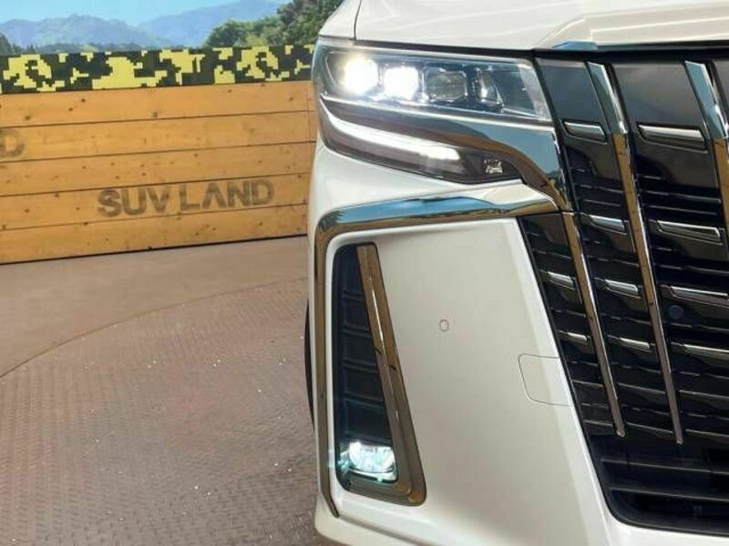 ALPHARD-11
