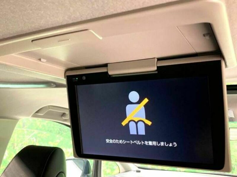 ALPHARD-3