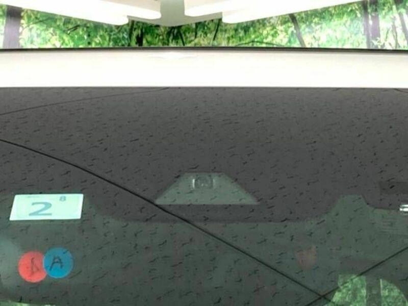 ALPHARD-6