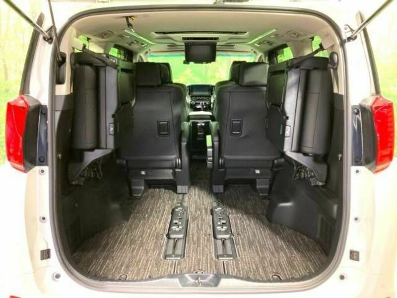 ALPHARD-10
