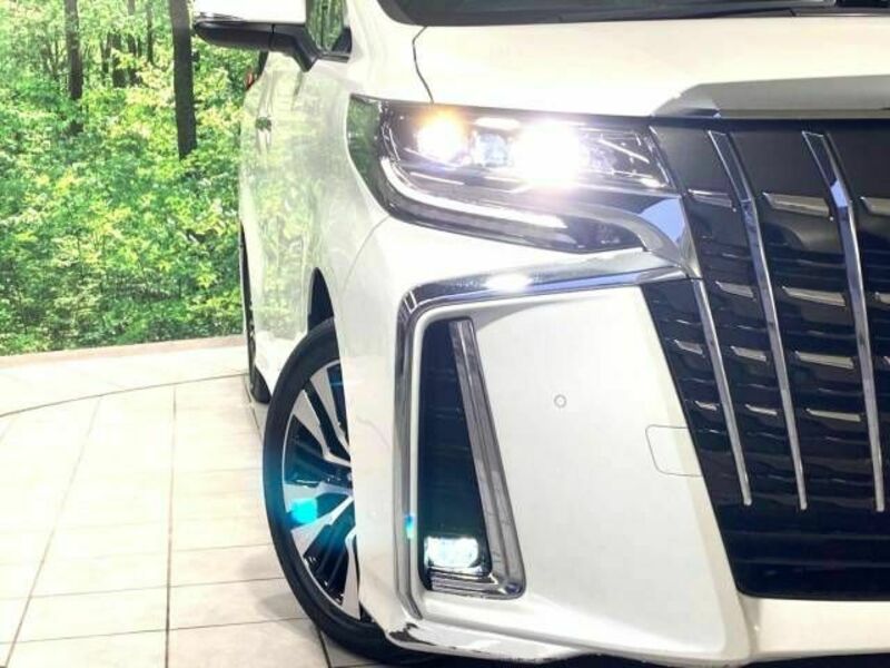 ALPHARD-12