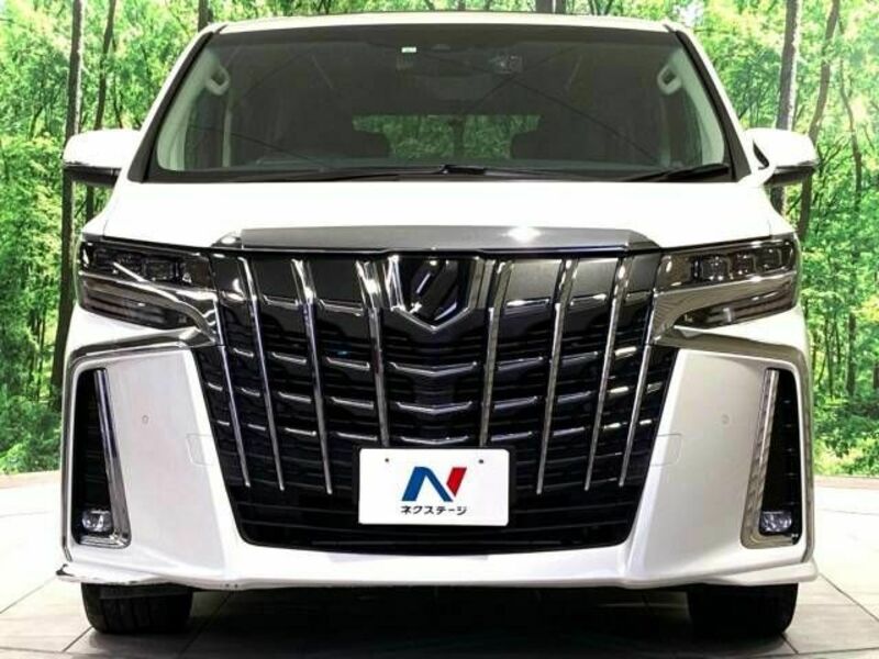 ALPHARD-14