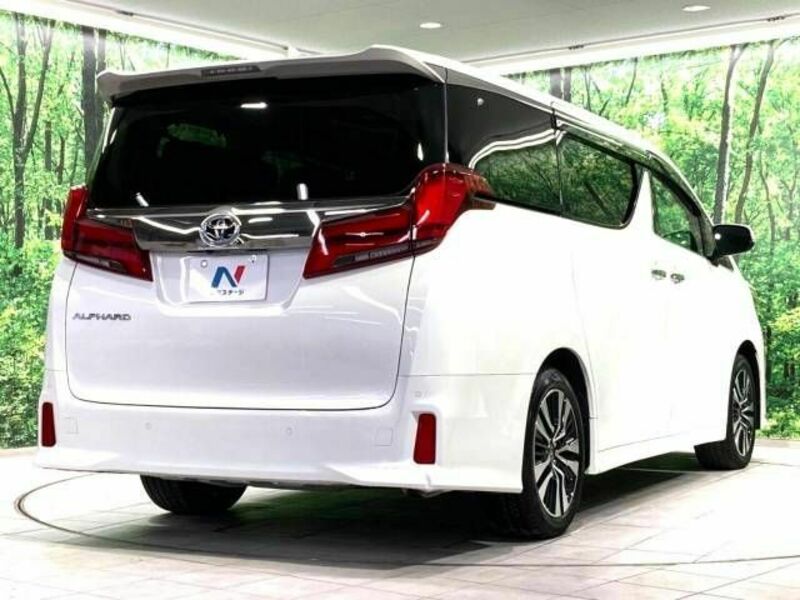 ALPHARD-16
