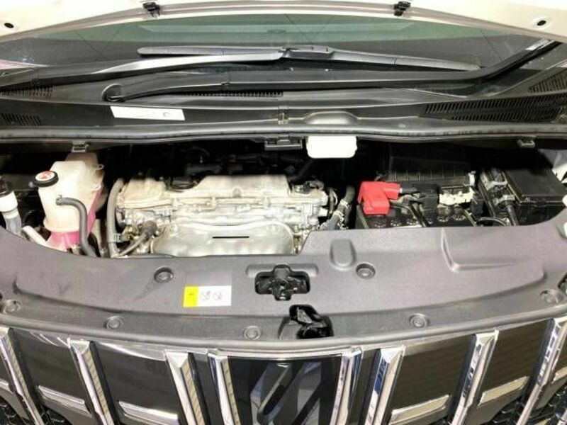 ALPHARD-17