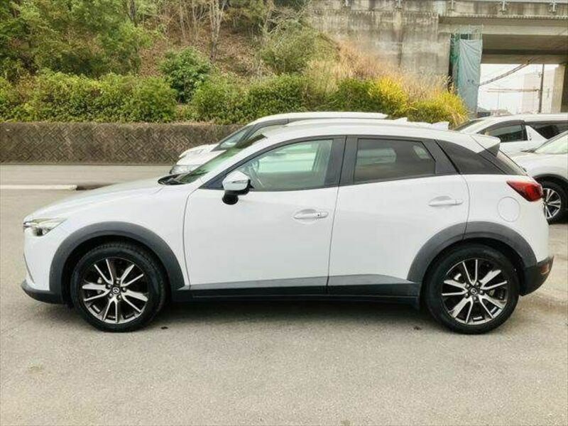 CX-3-19