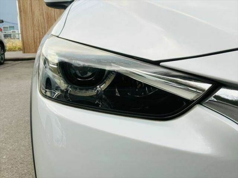 CX-3-21