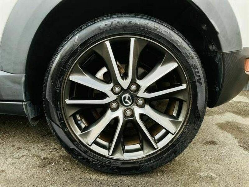 CX-3-25
